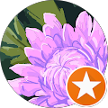 Evelyn Chou profile picture